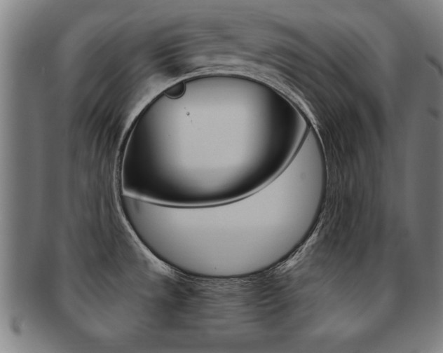 X0000091881533200709051005