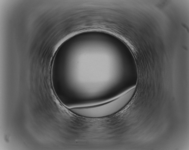 X0000091881534200709051005