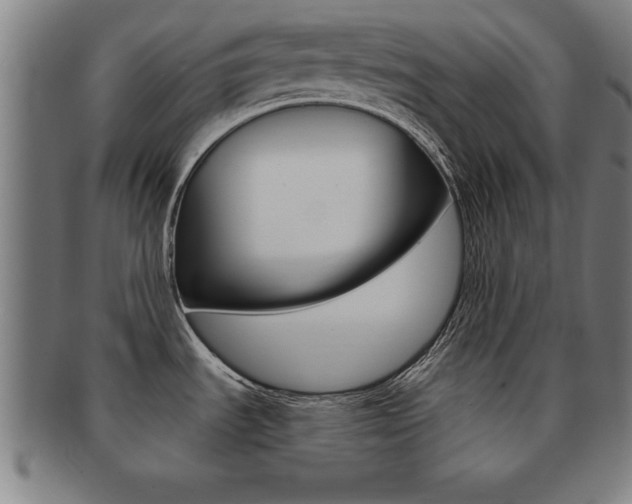 X0000091881535200709051005