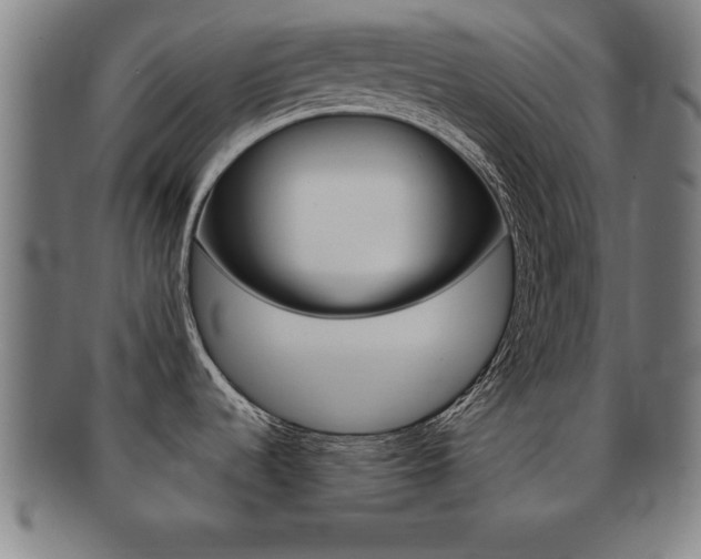 X0000091881536200709051005