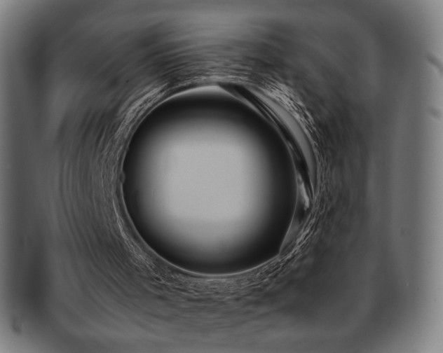 X0000091880001200709051333