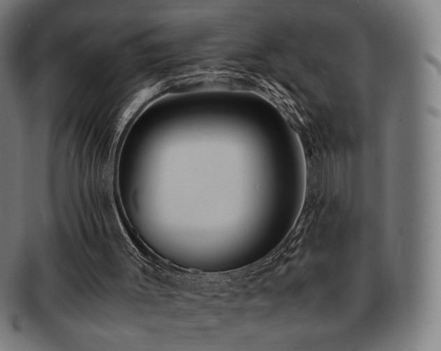 X0000091880003200709051333