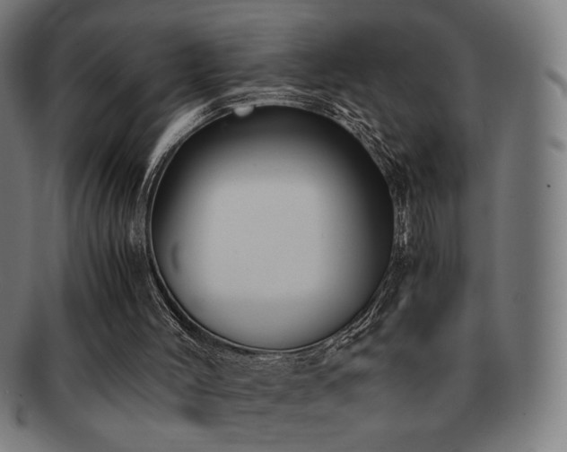 X0000091880004200709051333