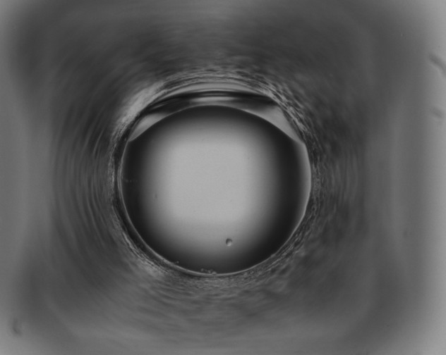 X0000091880005200709051333