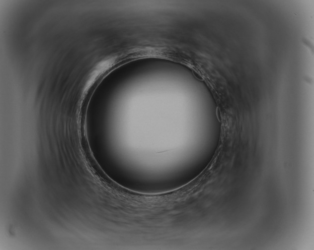 X0000091880006200709051333