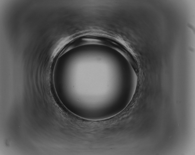 X0000091880007200709051333