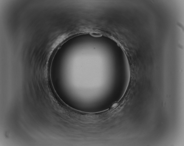 X0000091880008200709051333