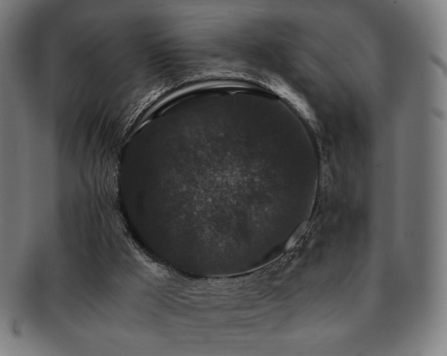 X0000091880009200709051333