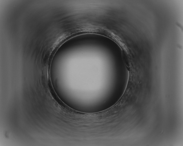 X0000091880011200709051332