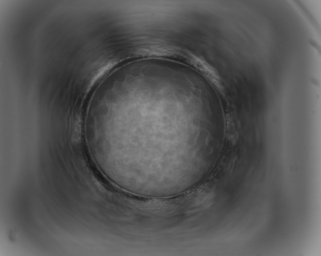 X0000091880012200709051332