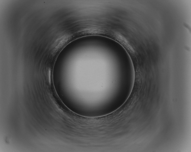 X0000091880014200709051332