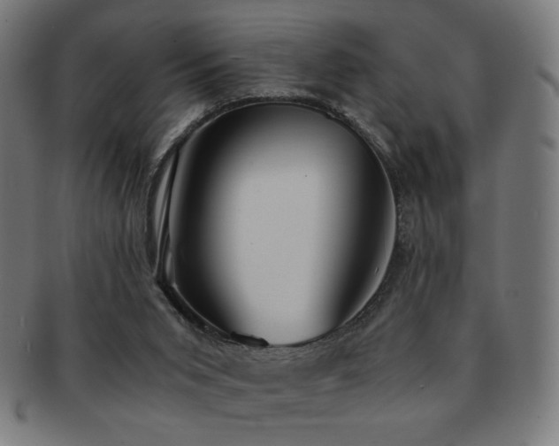 X0000091880015200709051332