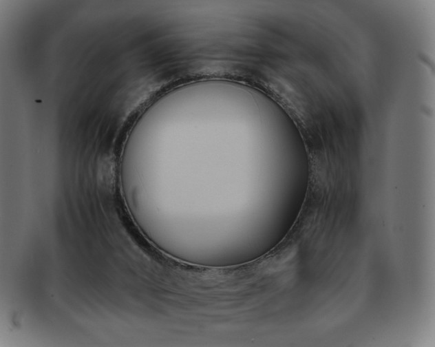 X0000091880016200709051332