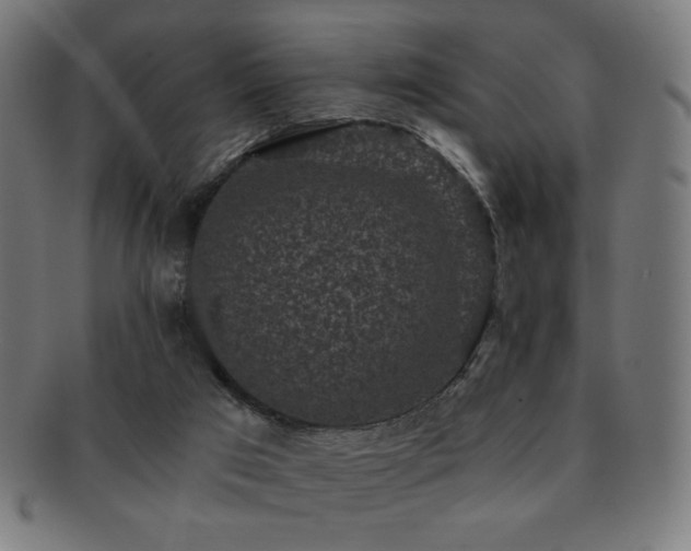 X0000091880017200709051332