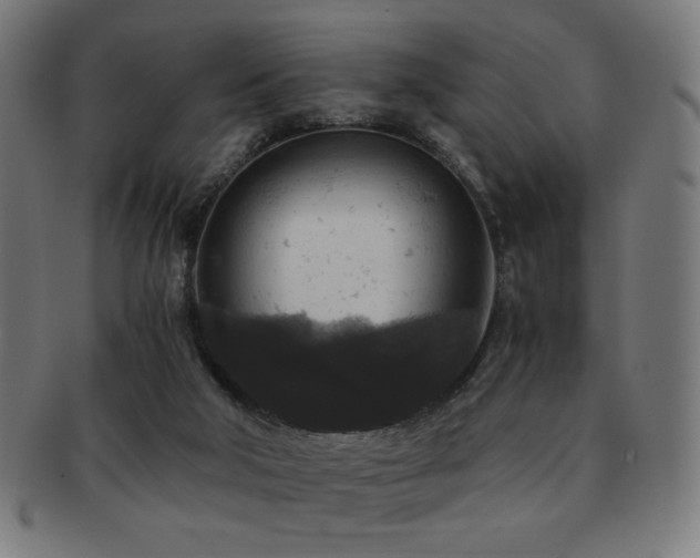 X0000091880018200709051332