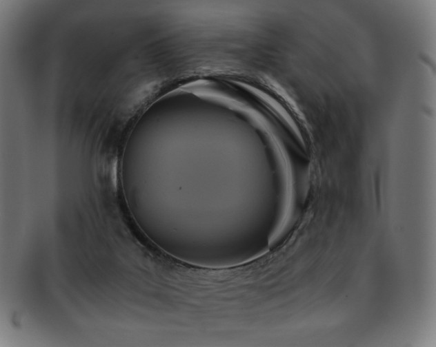 X0000091880019200709051332