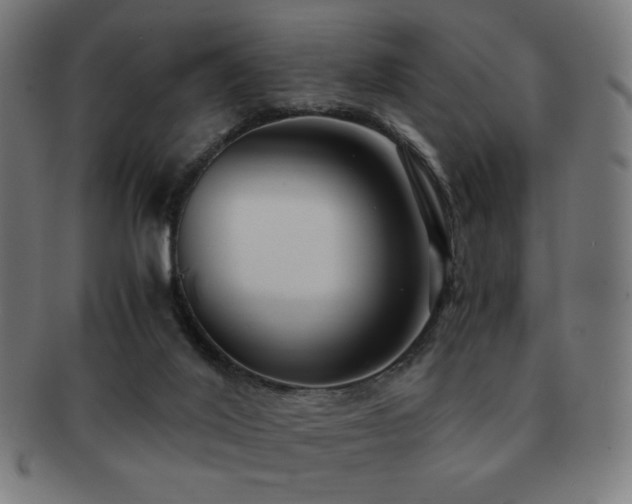 X0000091880020200709051332