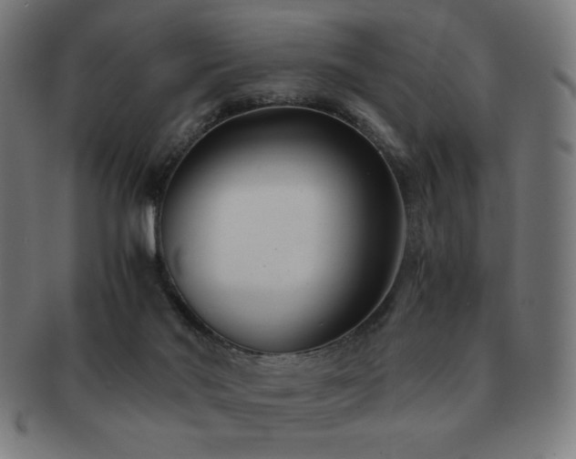 X0000091880022200709051332