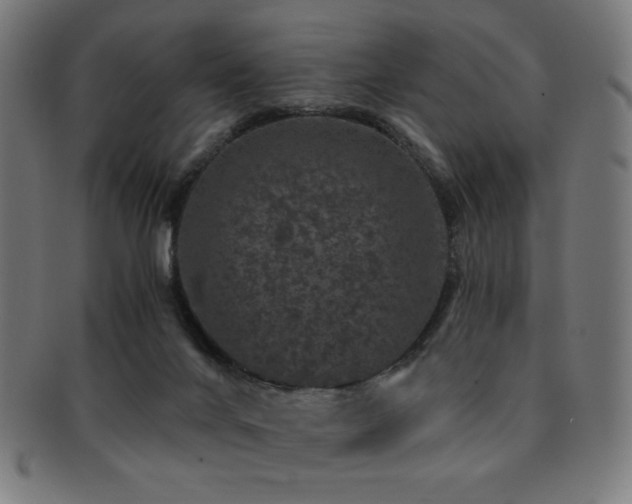 X0000091880024200709051332