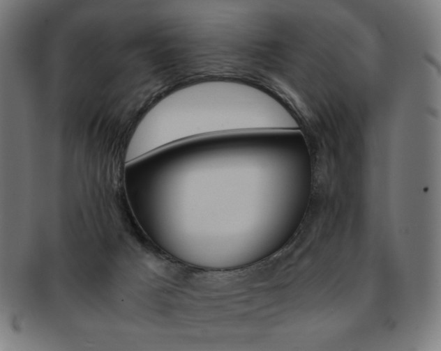 X0000091880025200709051332