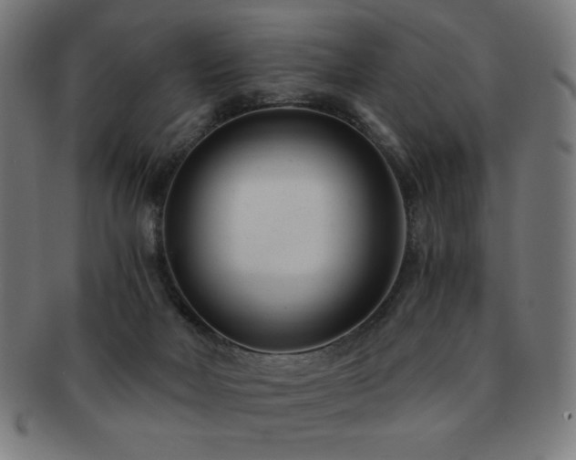 X0000091880026200709051332