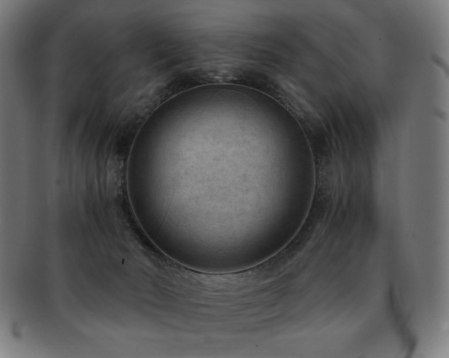 X0000091880030200709051332
