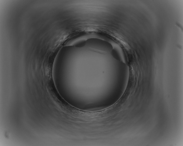 X0000091880031200709051332