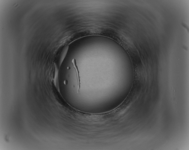 X0000091880032200709051332