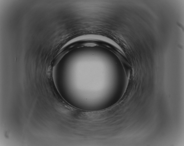 X0000091880033200709051332