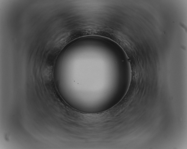 X0000091880034200709051332