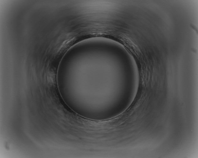 X0000091880035200709051332