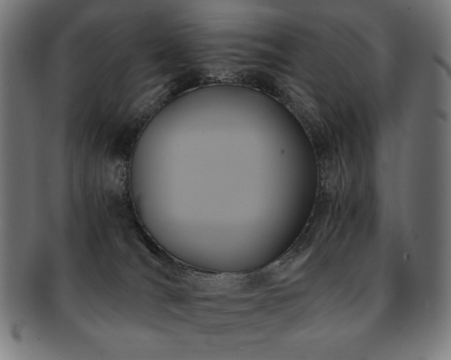 X0000091880036200709051332
