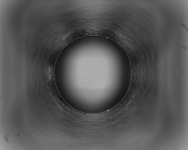 X0000091880038200709051332