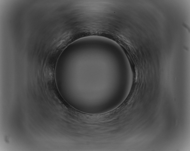 X0000091880039200709051332