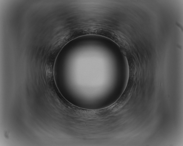 X0000091880040200709051332