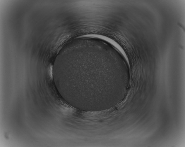 X0000091880041200709051332