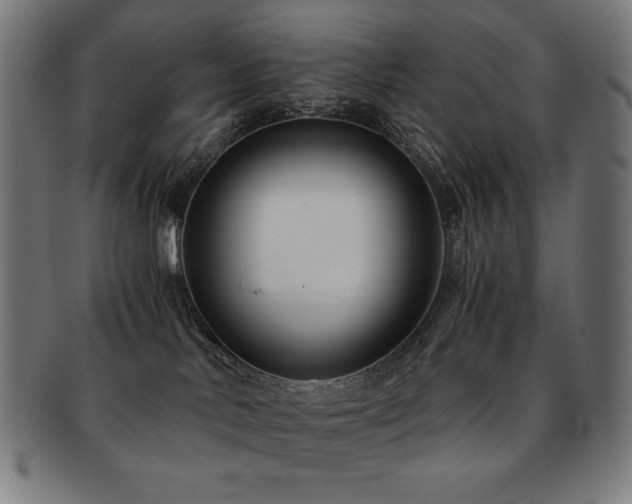 X0000091880042200709051332