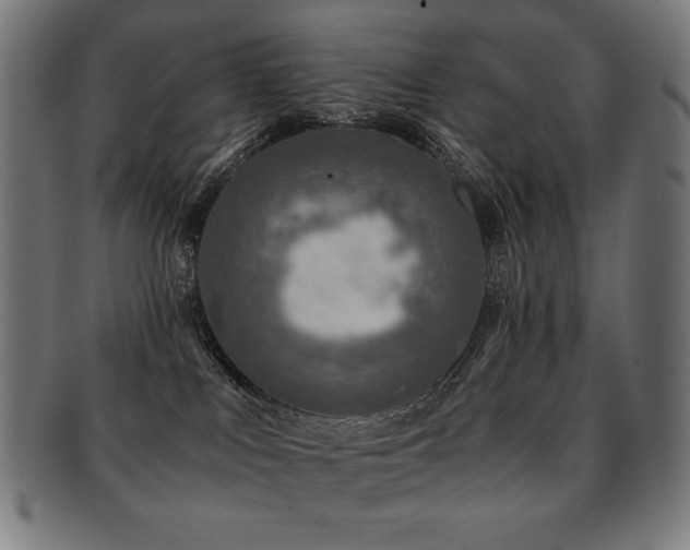 X0000091880043200709051332