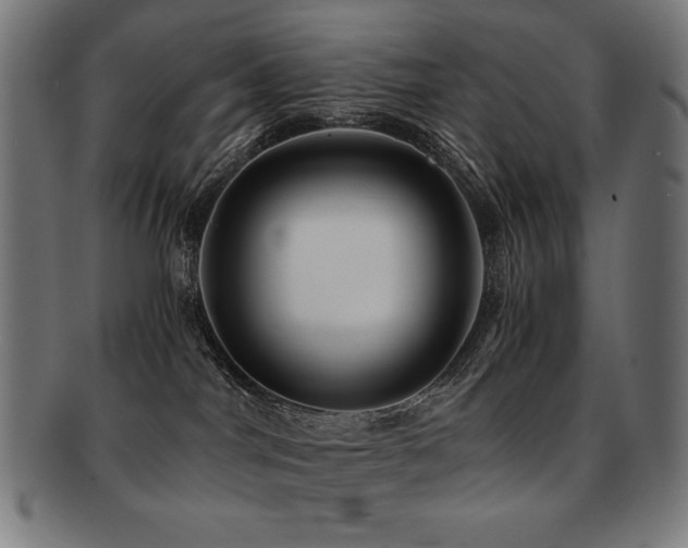 X0000091880044200709051332