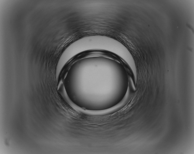 X0000091880045200709051332