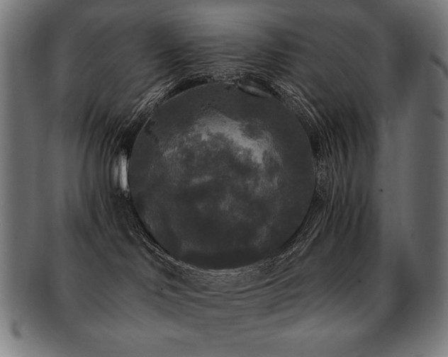 X0000091880046200709051332