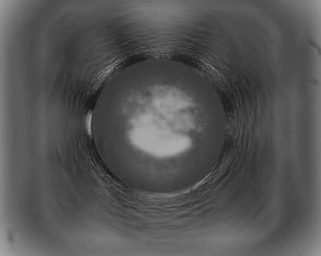 X0000091880047200709051332