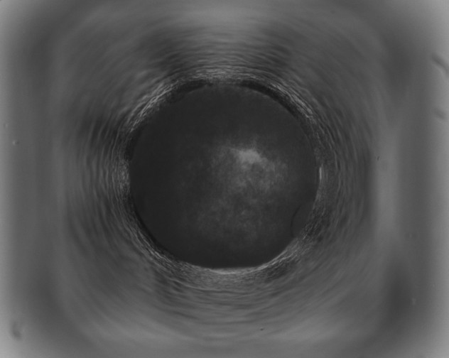 X0000091880048200709051332