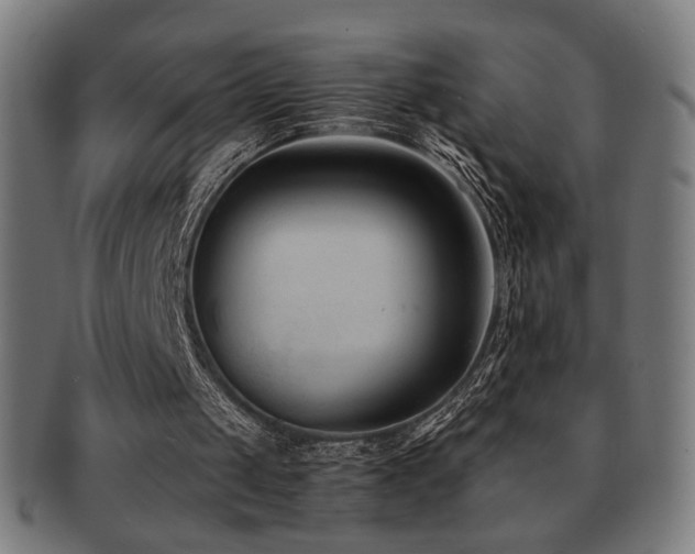 X0000091880049200709051331