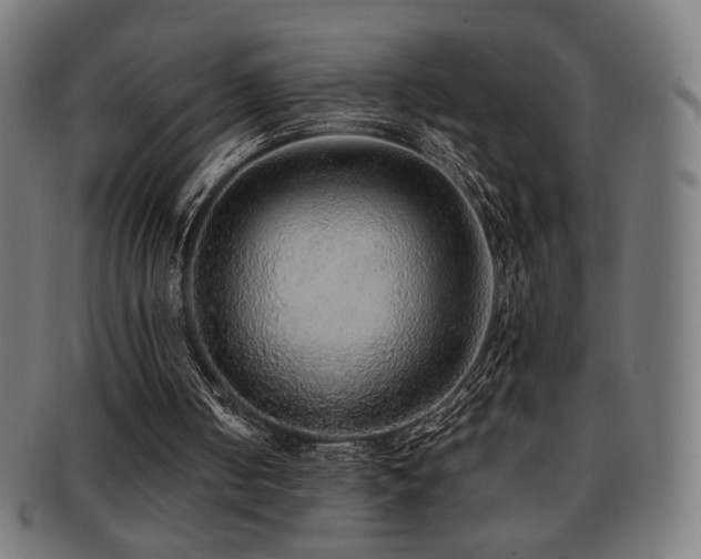 X0000091880050200709051332