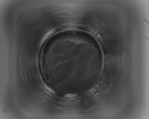 X0000091880051200709051332
