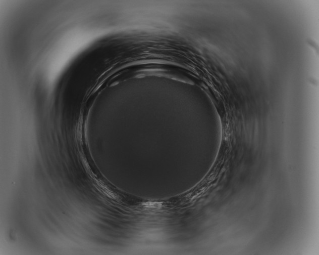 X0000091880052200709051332