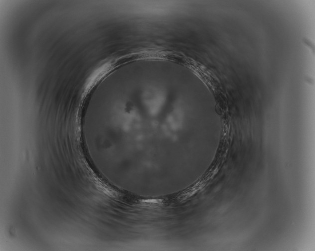X0000091880053200709051332