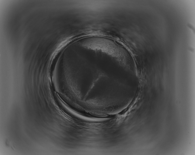 X0000091880055200709051332