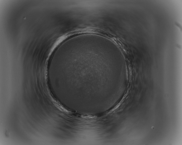 X0000091880056200709051332
